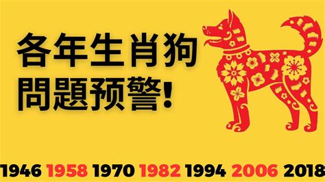 2023屬狗運勢|2023十二生肖運勢大公開》屬虎女性貴人多、屬狗可。